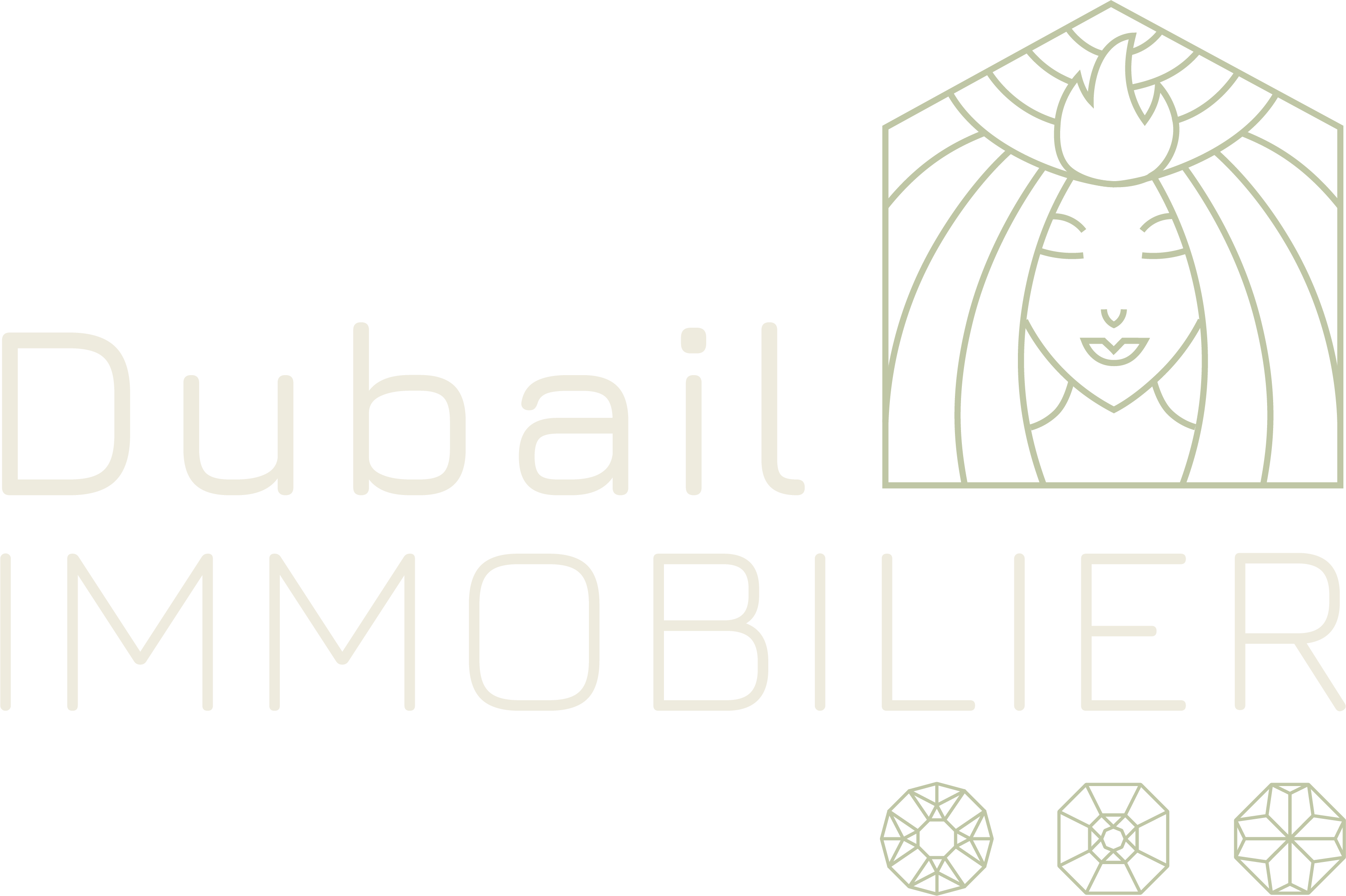 Logo principal de l'agence immobilière Dubail Immobilier